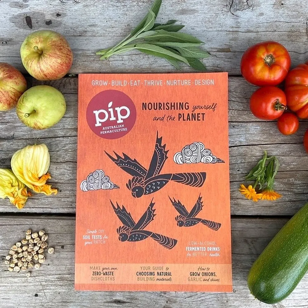 6-Pack Pip Magazine Back Issues 25 through to 20 Plus a Pip Tote Bag