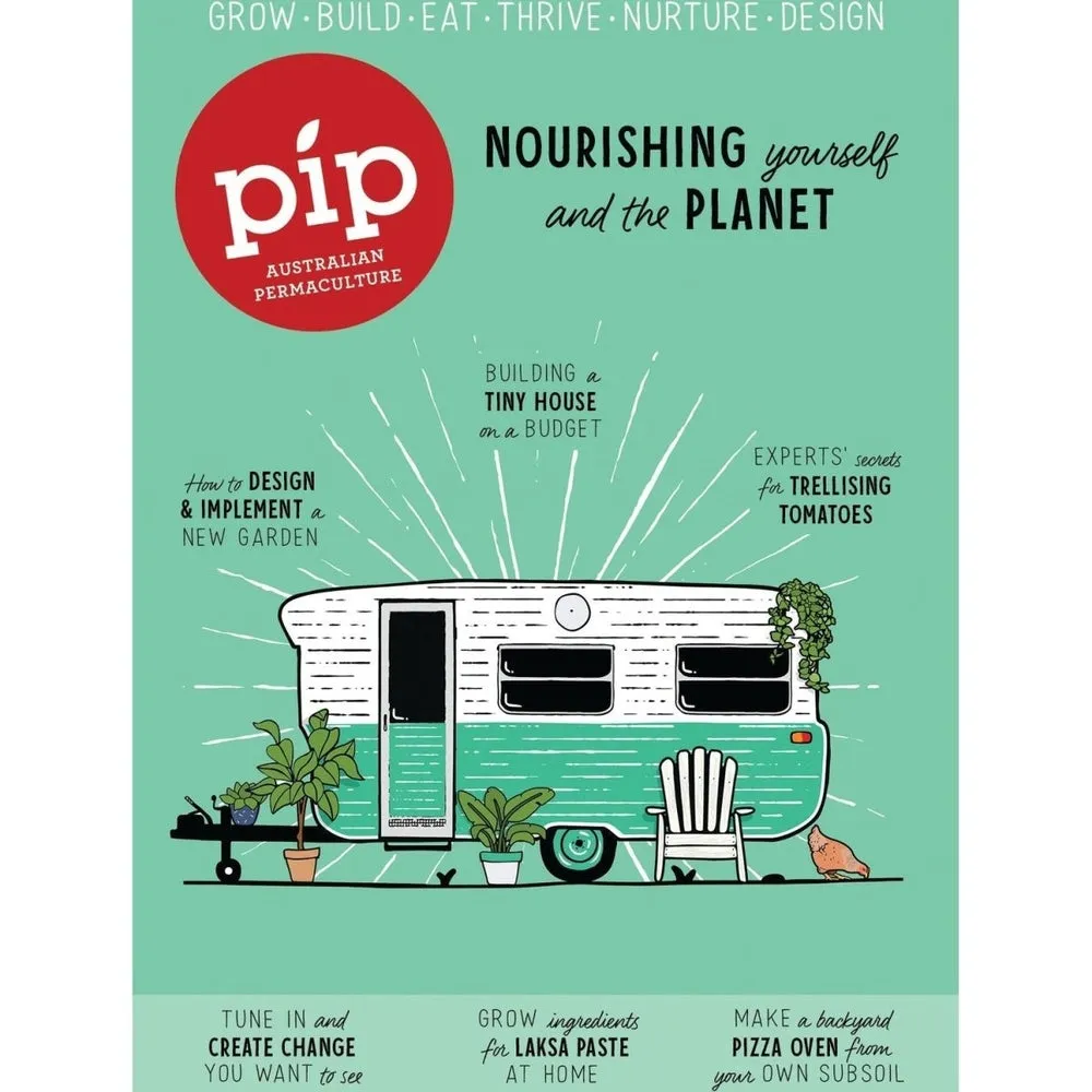 6-Pack Pip Magazine Back Issues 25 through to 20 Plus a Pip Tote Bag