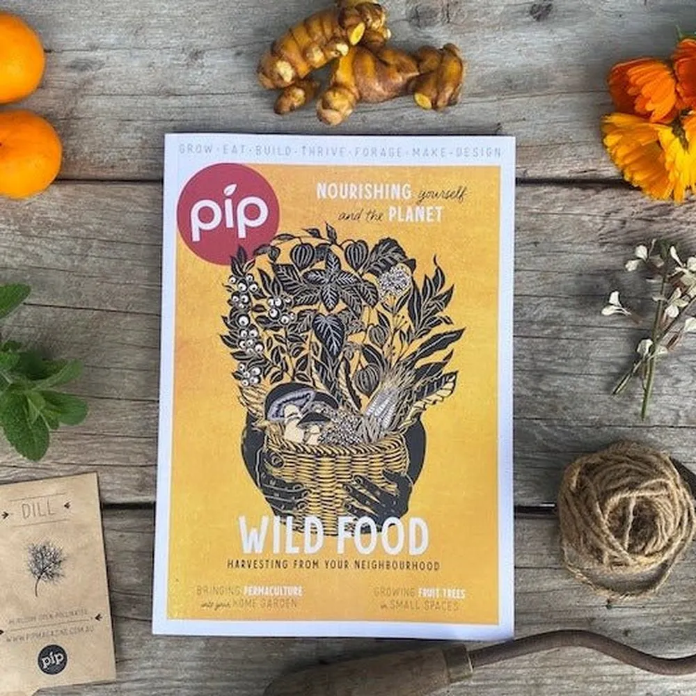 6-Pack Pip Magazine Back Issues 25 through to 20 Plus a Pip Tote Bag