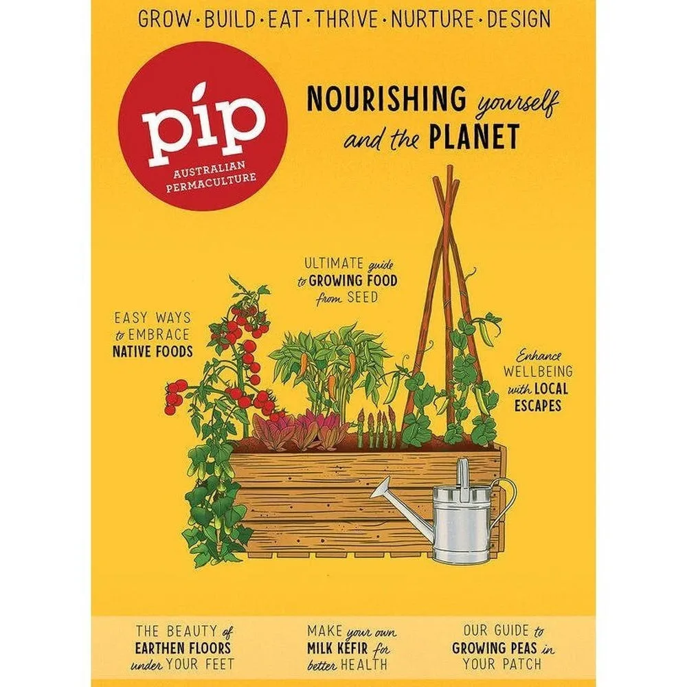 6-Pack Pip Magazine Back Issues 25 through to 20 Plus a Pip Tote Bag