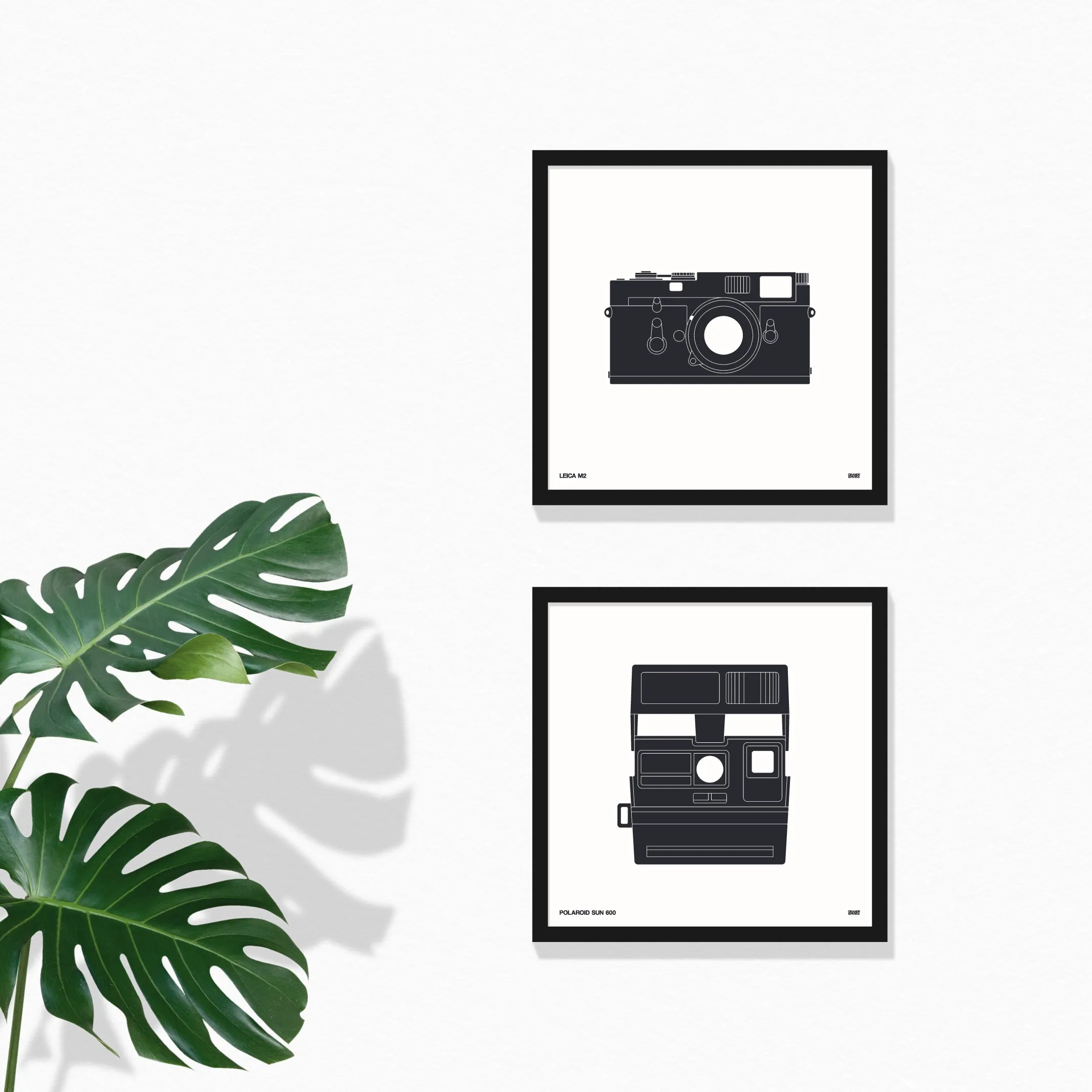 Camera Prints
