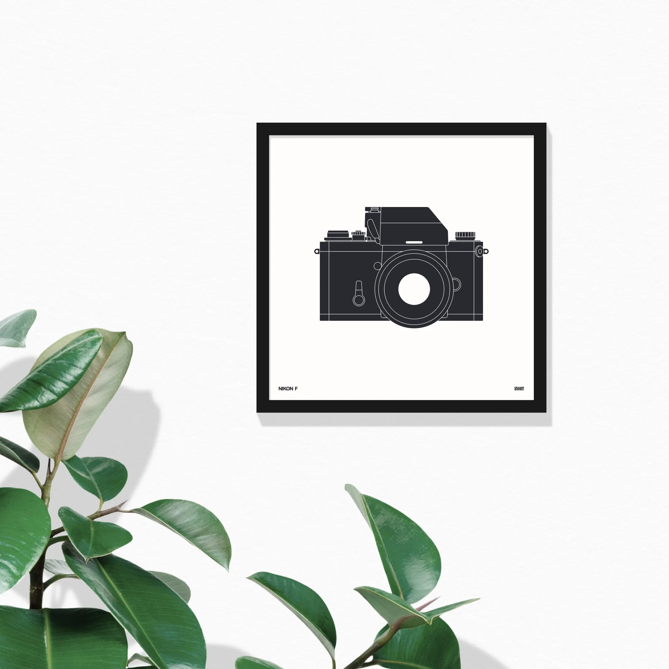 Camera Prints
