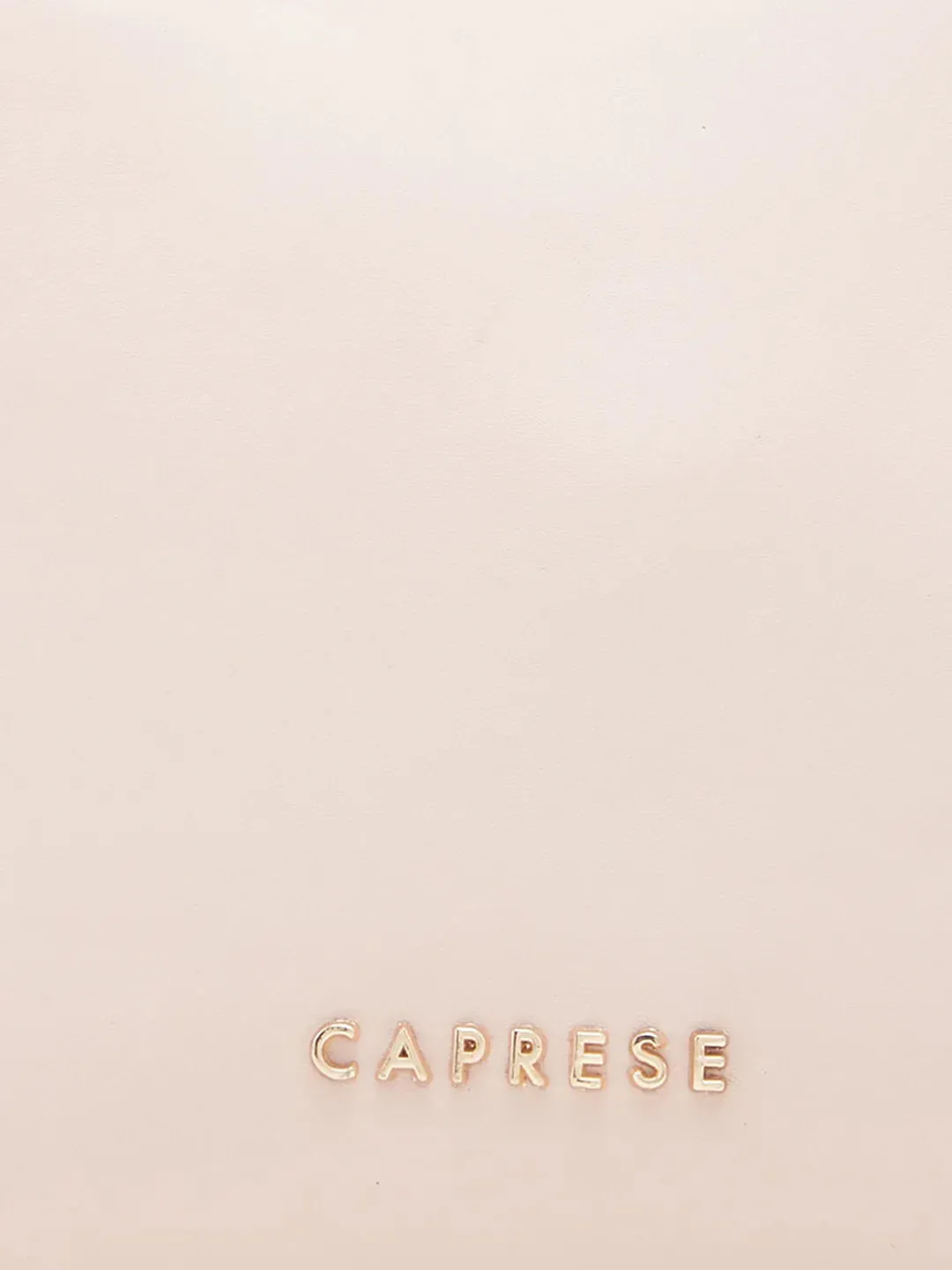 Caprese Olbia Medium Pink Hobo Bag
