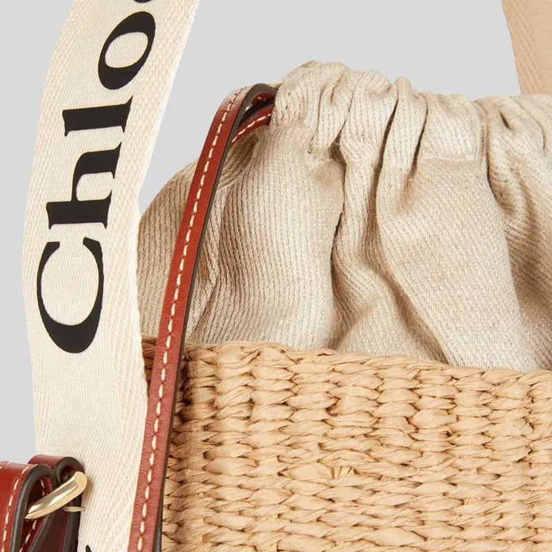 CHLOE Small Woody Basket In Natural Fibers White RS-CHC22SS381G55101
