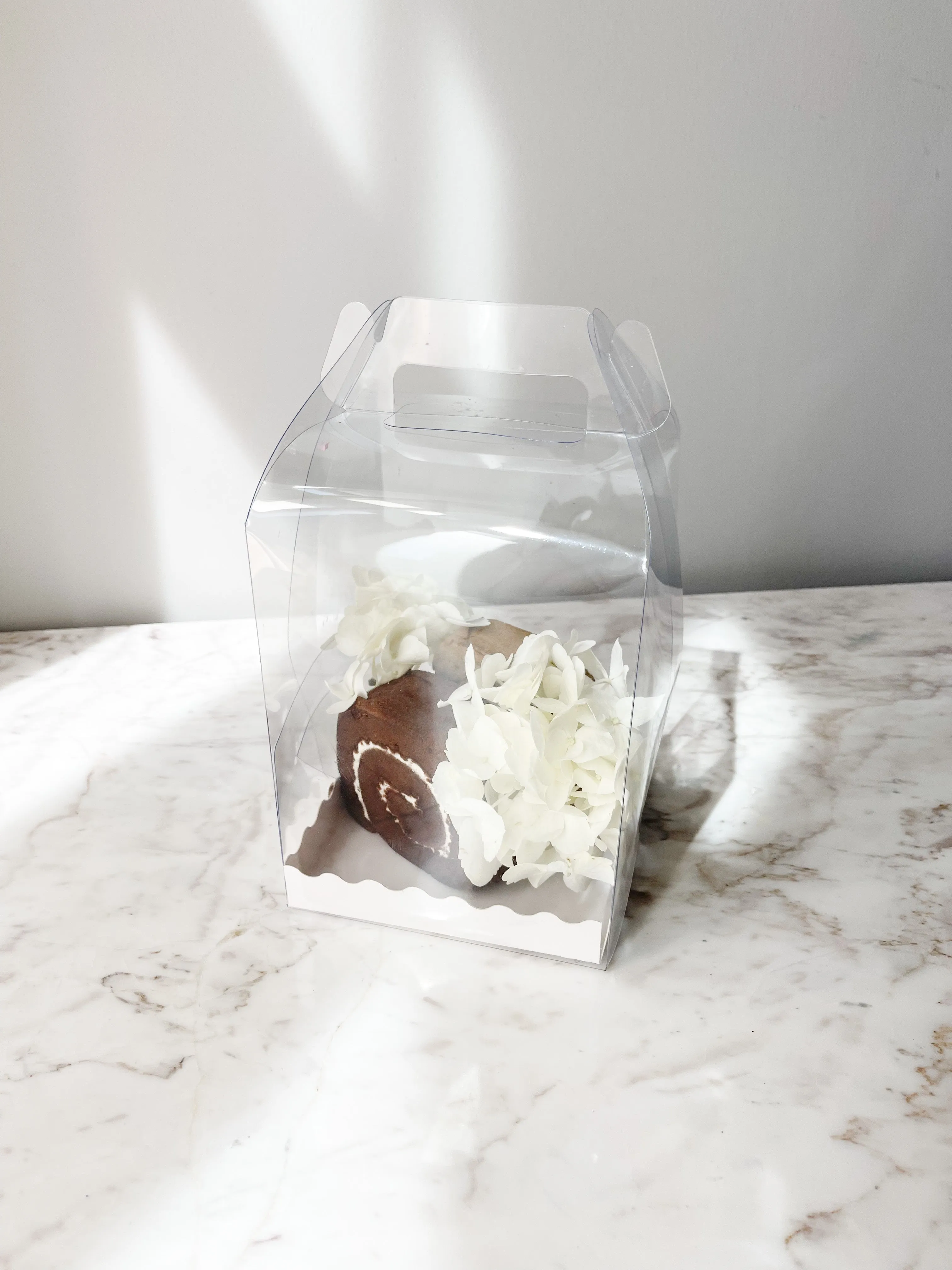 Clear Display Box