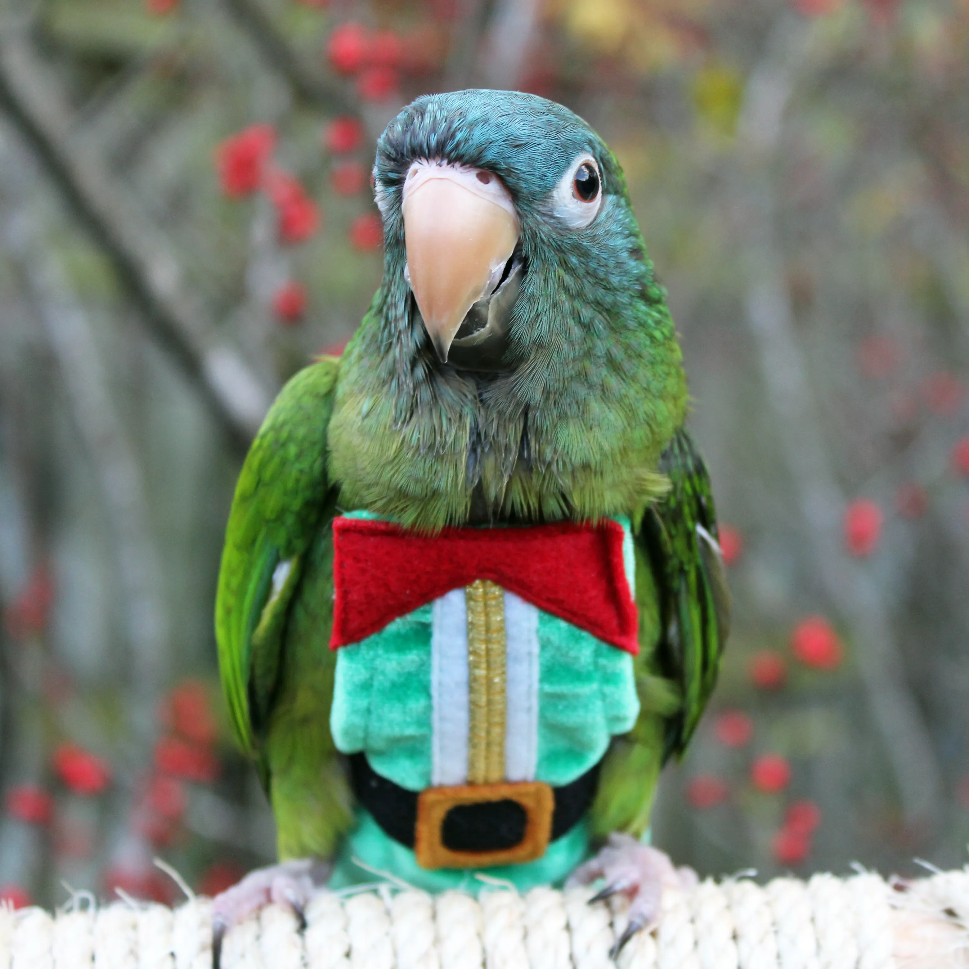 Elf FeatherWear FlightSuit™