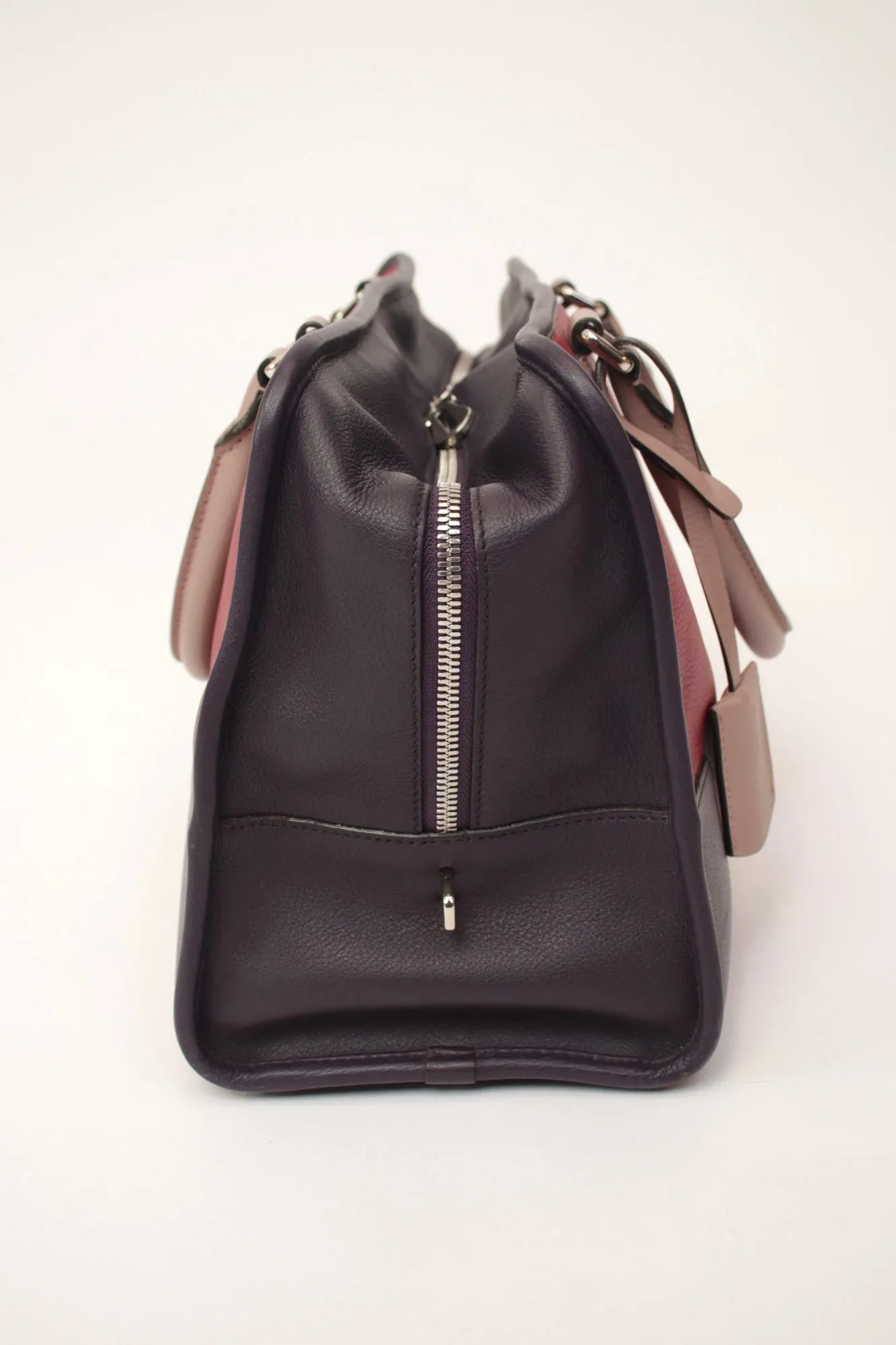 Loewe Amazona Color Blocked Bag