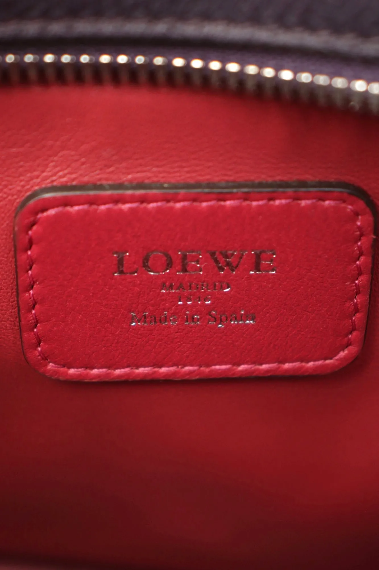 Loewe Amazona Color Blocked Bag