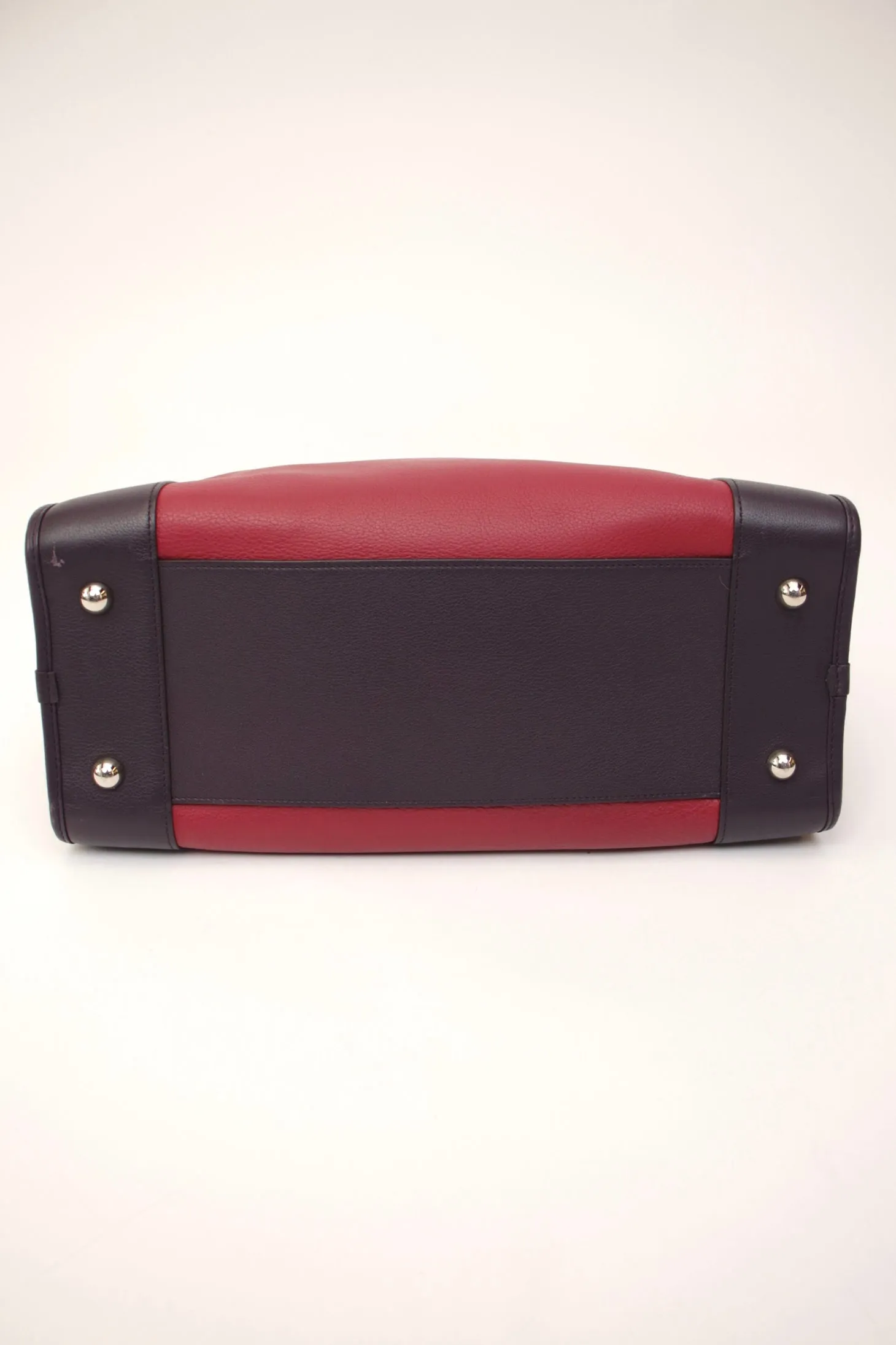 Loewe Amazona Color Blocked Bag