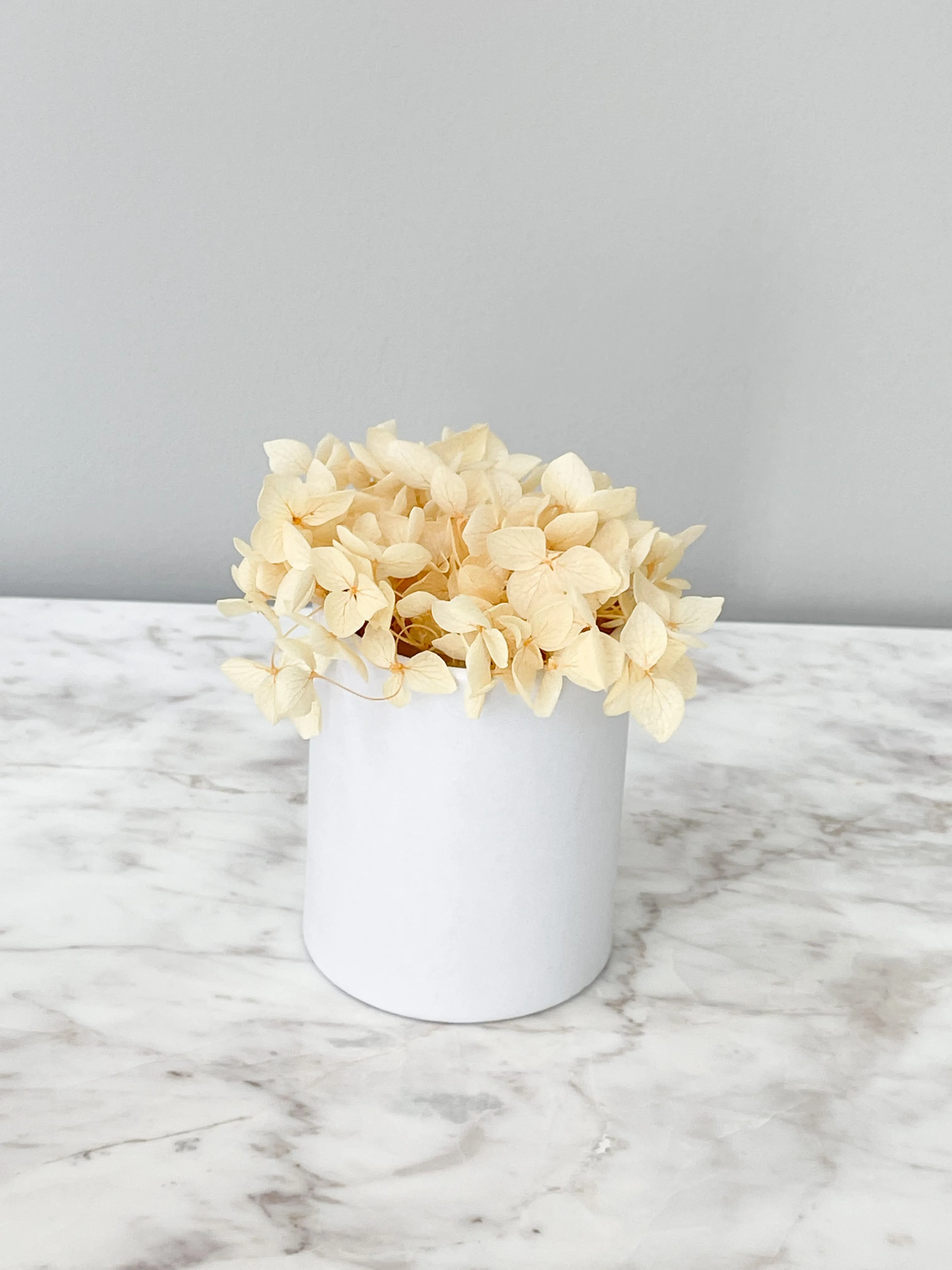 Mini Size Flower Box for Single Flower