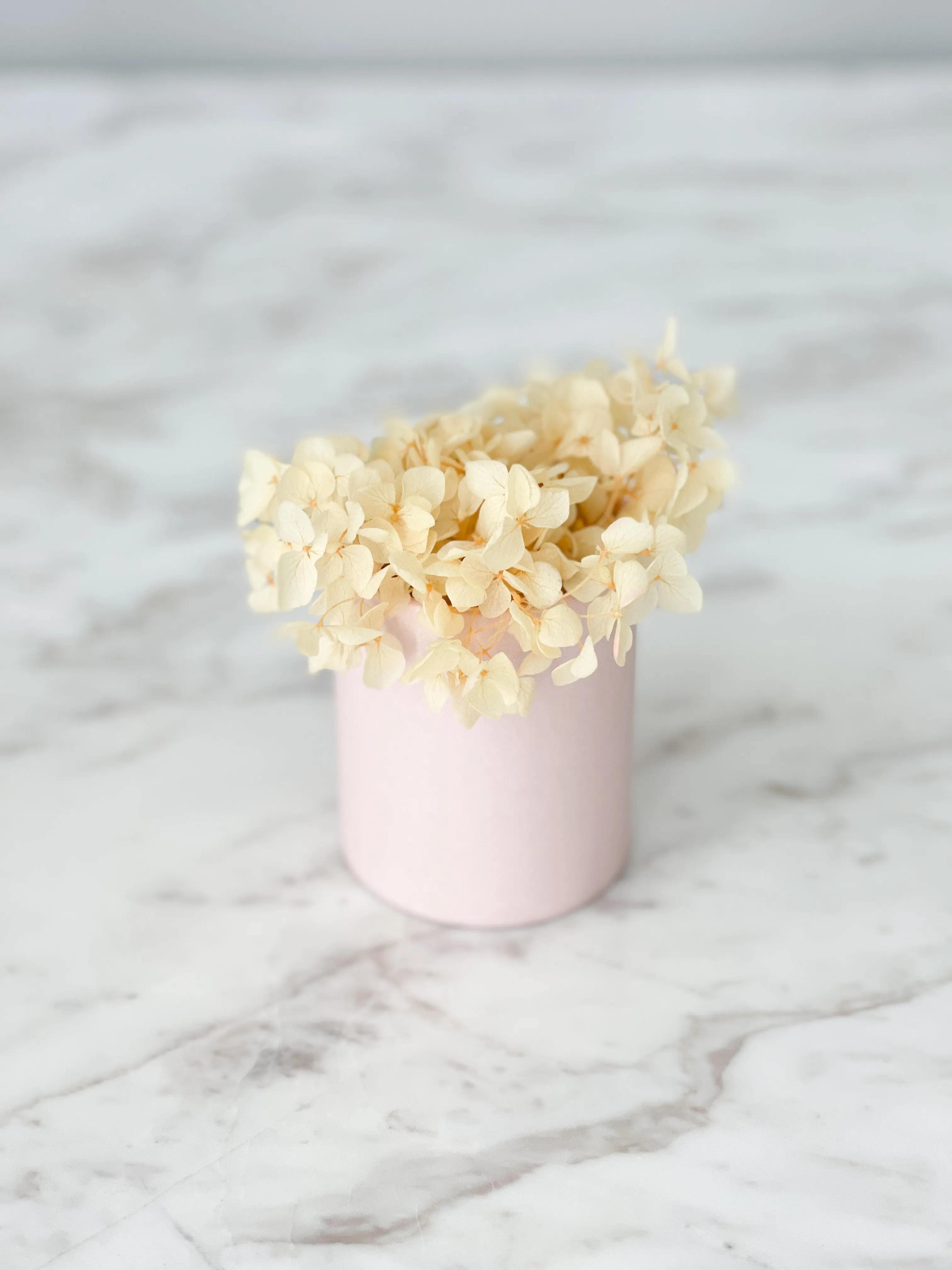 Mini Size Flower Box for Single Flower