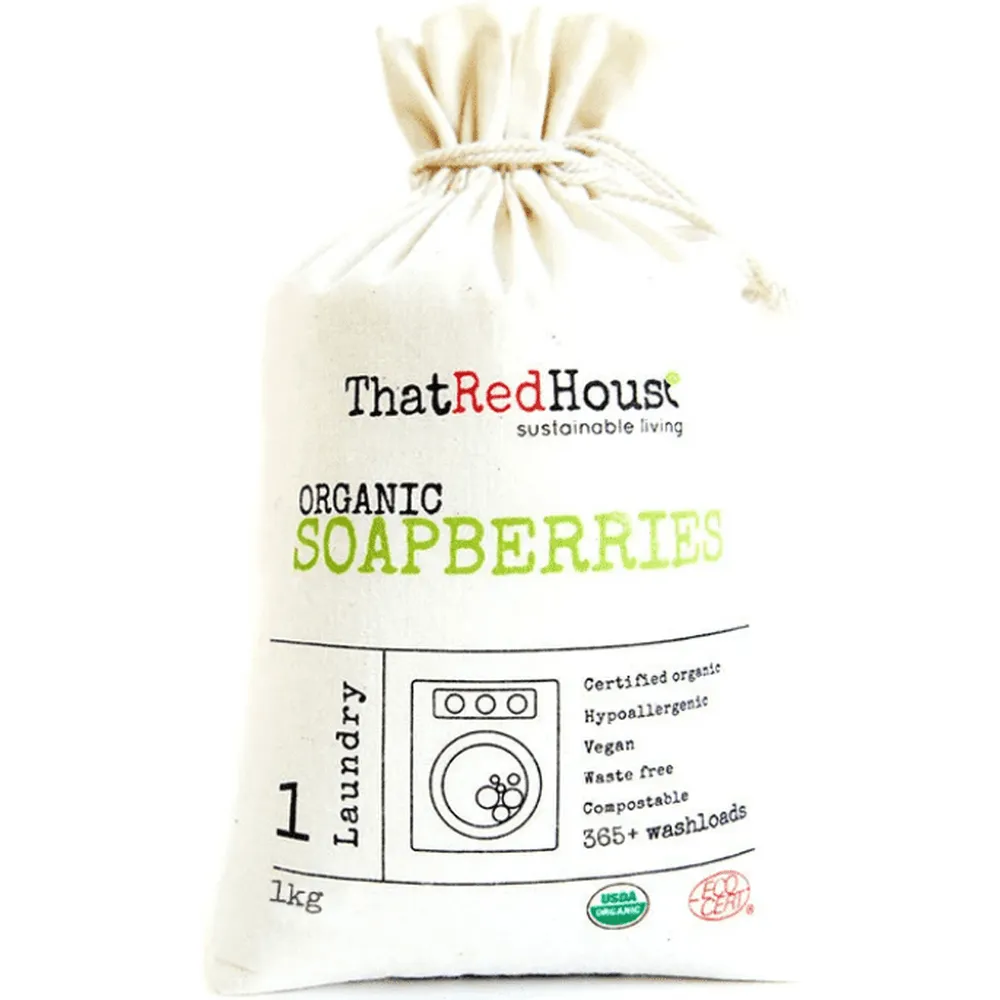 Organic Soap Berries (Soap nuts)
