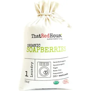 Organic Soap Berries (Soap nuts)