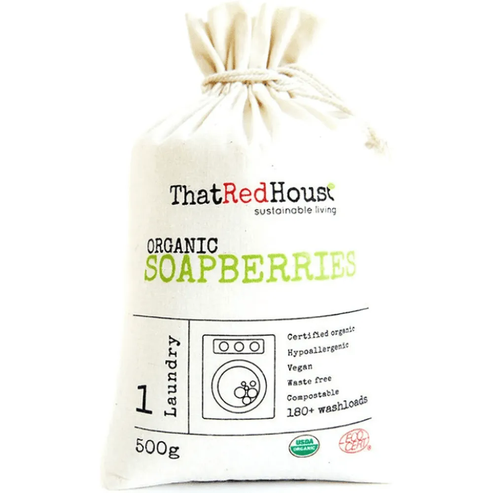 Organic Soap Berries (Soap nuts)