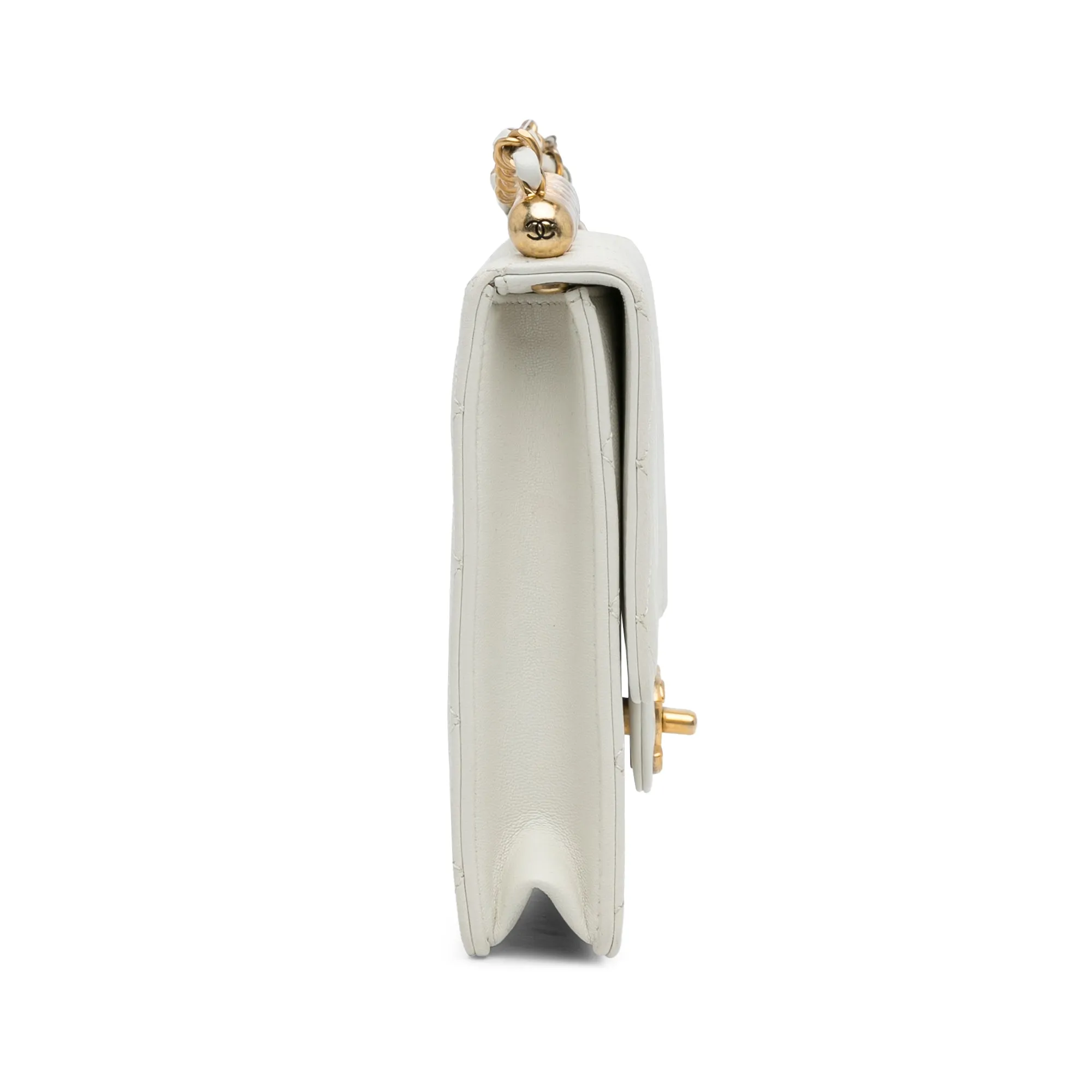 Small Chic Pearls Flap