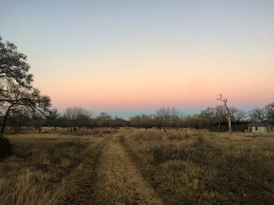 Winter Sunset Single Origin Small Lot Coffee