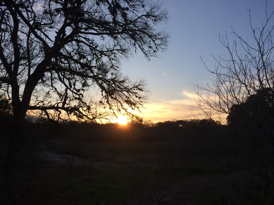 Winter Sunset Single Origin Small Lot Coffee